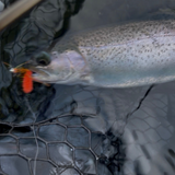 MADE MOP JIGS